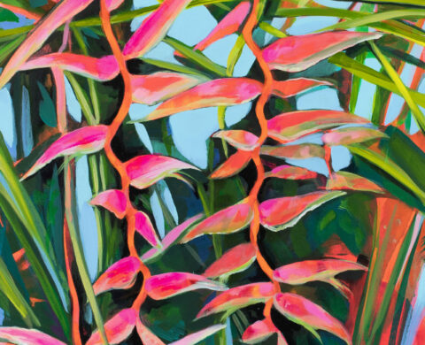PINK SEXY HELICONIA